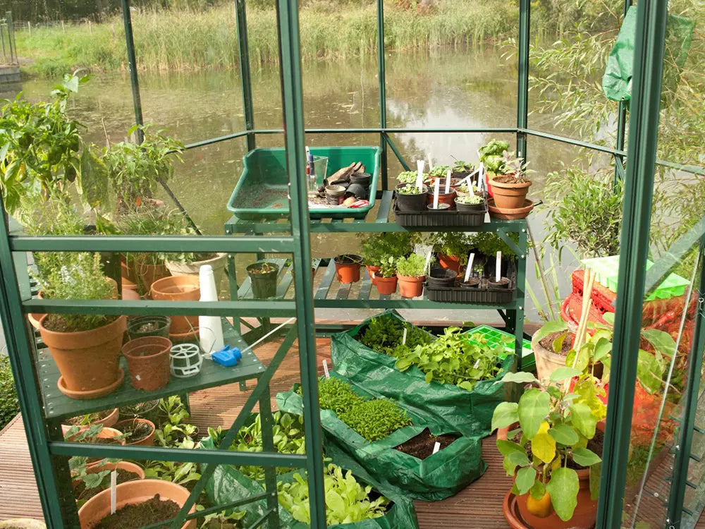 Lunara 5508 Greenhouse